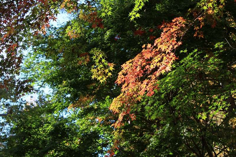 img_2016 (1) img_2016 (1)