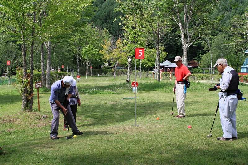 img_2016 (11) img_2016 (11)