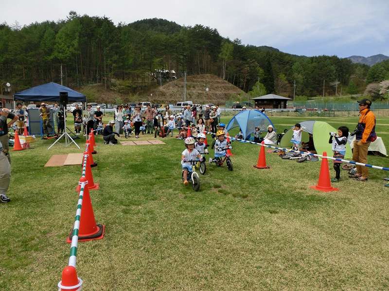 img_2016 (31) img_2016 (31)