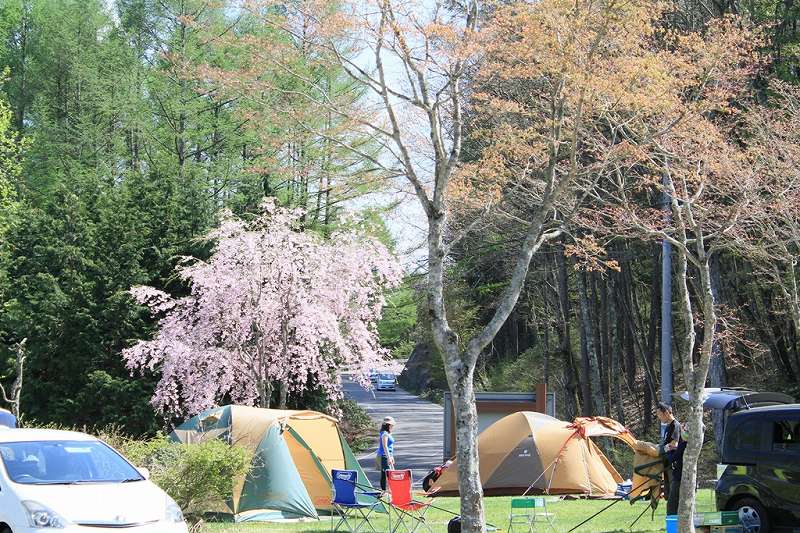 img_2016 (6) img_2016 (6)