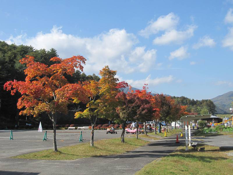 img_kouyou img_kouyou