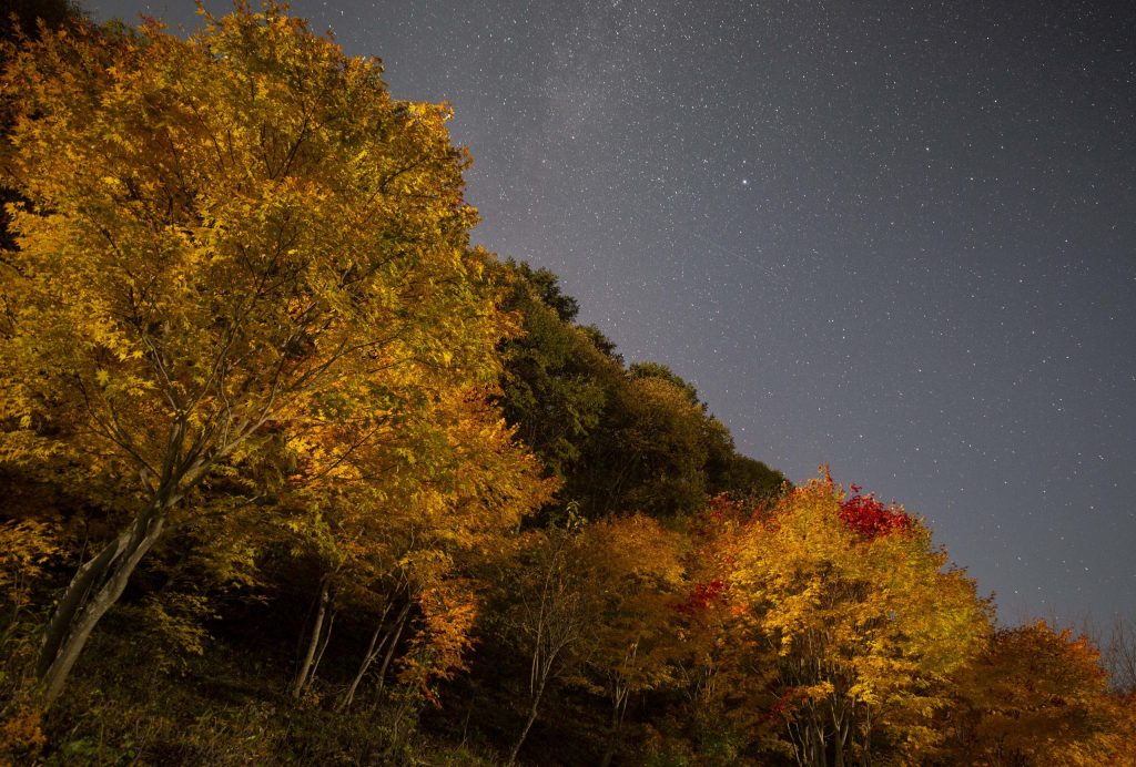 紅葉と星空（スキー場センターハウス横の土手）