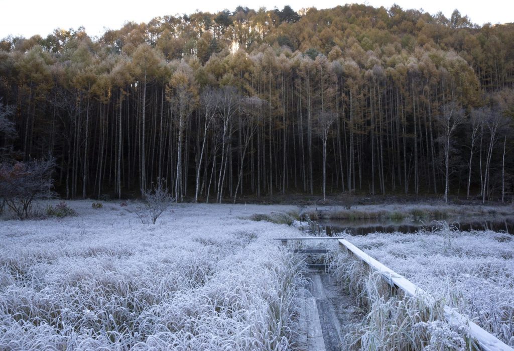 早朝のやぶはら高原