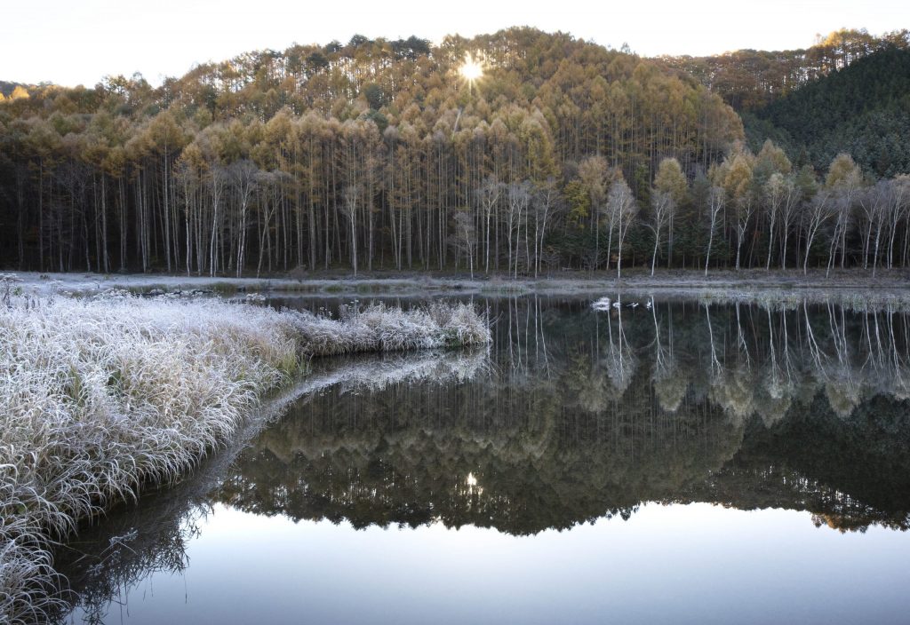 早朝のやぶはら高原