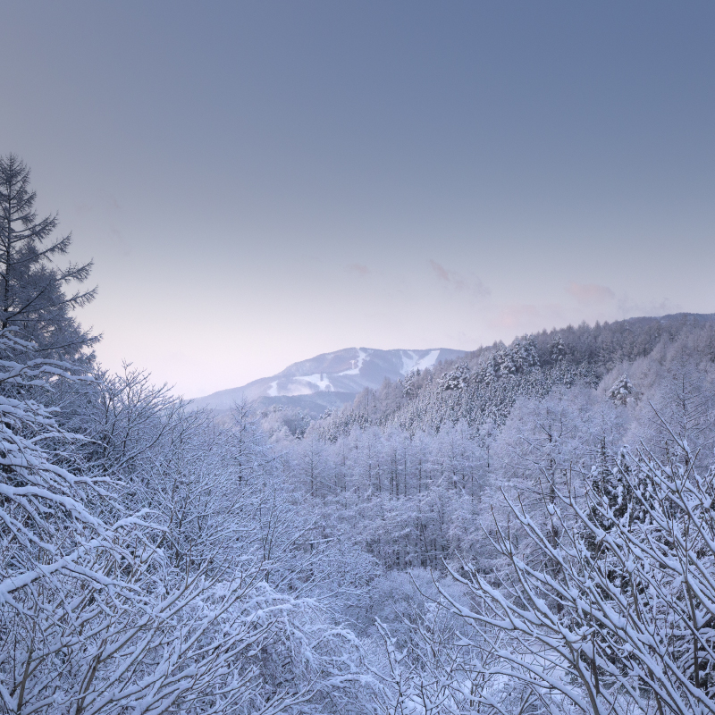 雪景色 | こだまの森｜信州やぶはら高原