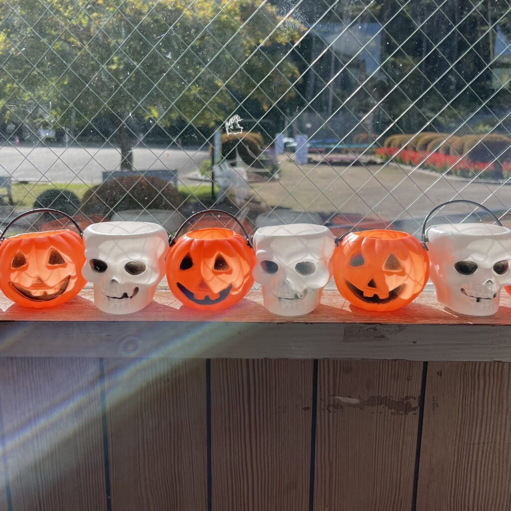 ハロウィンの飾りつけをしました🎃💫