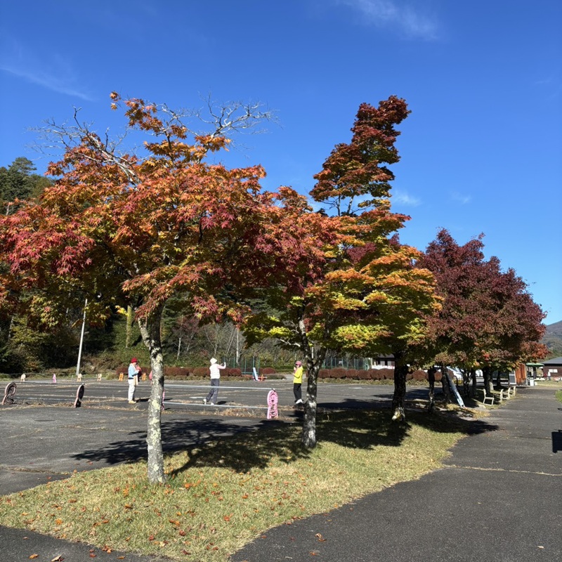 職場体験がありました!!